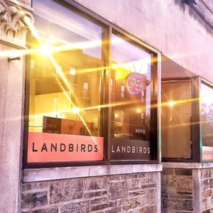 Landbirds Chicago